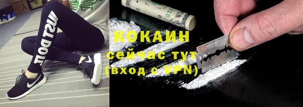 индика Баксан
