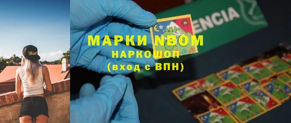 индика Баксан