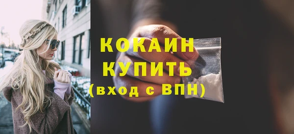 индика Баксан