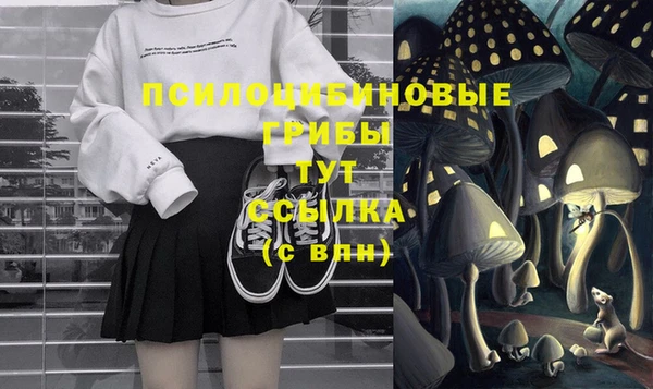 индика Баксан