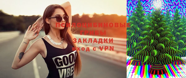 индика Баксан