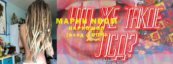 индика Баксан