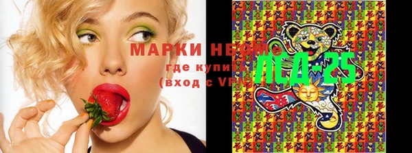 индика Баксан